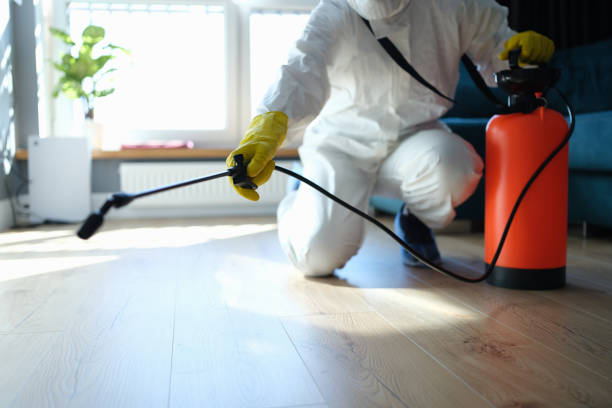 Reliable Hoarding Cleanup contractor in Ridgecrest, CA by Crime Scene Cleaner Online